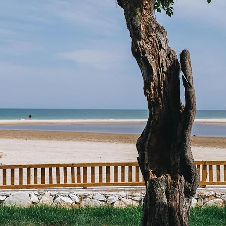 Hotel Nayu Igneada Demirkoy