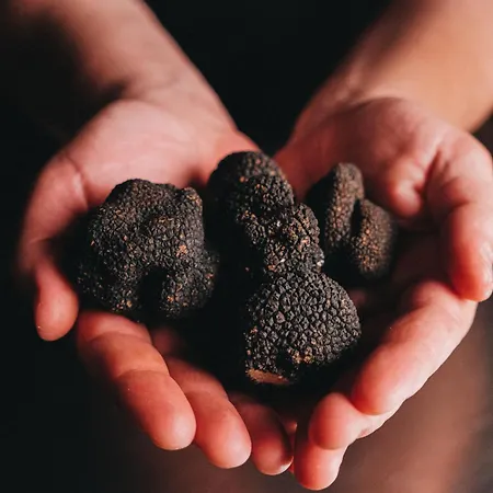 Nayu Igneada Hotel *