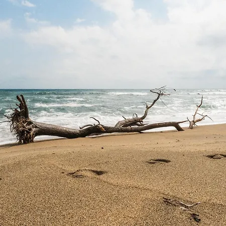 Hotel Nayu Igneada *